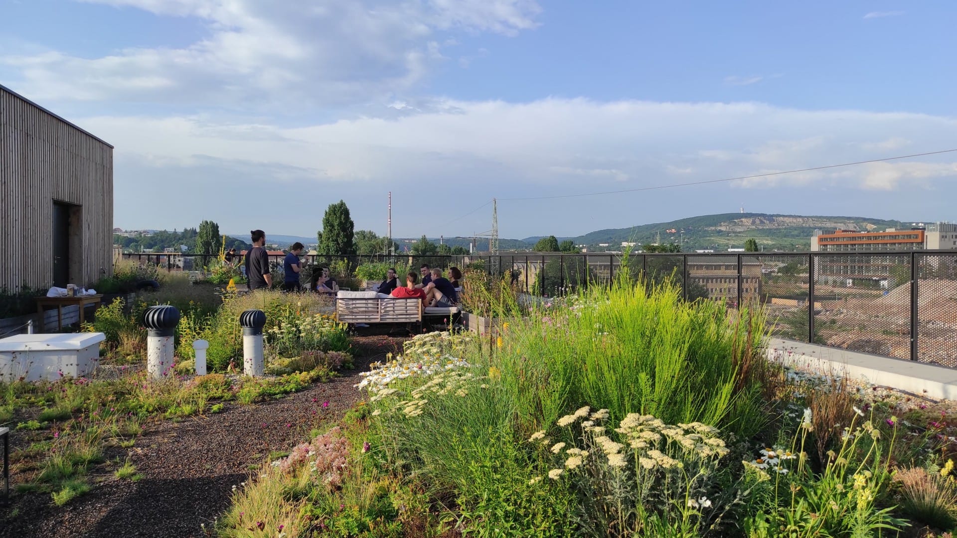 Green Rooftop Garden